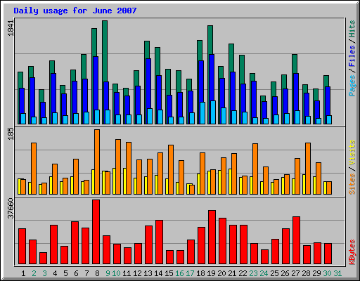 Daily usage for June 2007
